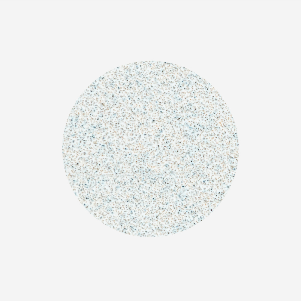 Сменные файлы белые для педикюрного диска PodoDisc Staleks Pro L 100 грит (50 шт) PDF-25-100W