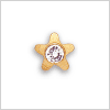 R501W-4 Звезда с камнем